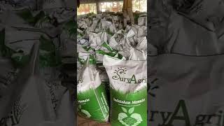 farming surya agri paddy Narsary growing manure media jrntr ￼ [upl. by Relyhs677]