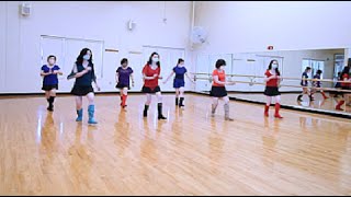 Blindsided  Line Dance Dance amp Walk Thru [upl. by Cresida]