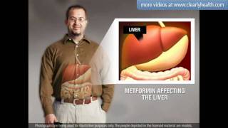 Diabetes Metformin medication [upl. by Alik47]