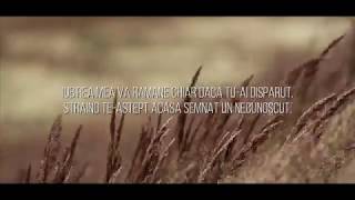 Yenic  quotHei strainoquot Lyrics Video [upl. by Aisiat]