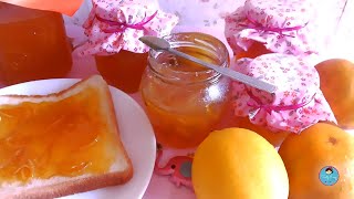 Homemade Marmalade Recipe  Resep Selai Jeruk Tanpa Pemanis Buatan [upl. by Colwell]