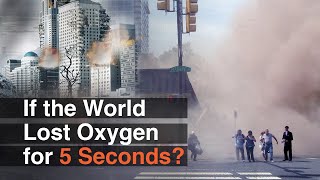 What If the World Lost Oxygen for 5 Seconds [upl. by Haily]