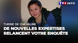 Tuerie de chevaline  de nouvelles expertises relancent votre enquête [upl. by Alroi684]