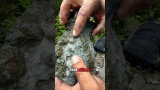 Epic Fossil Hunting Abandoned ATV Discovery amp Rare Fossils Found in Wisconsin fossil fyp shorts [upl. by Yerxa]