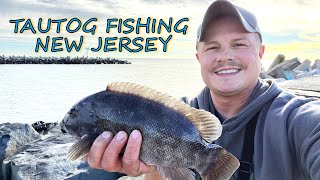 Tautog Fishing on the Manasquan Inlet  How to Catch Togs Fall 2022 Trip  Day 2 [upl. by Ahseiym522]