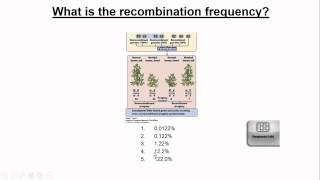 Recombination and Linkage [upl. by Harrod105]