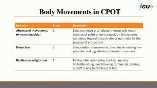 Pain Assessment in the ICU [upl. by Bonnes]