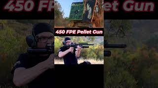 Mail Order 50 Cal Airgun shorts viral trending [upl. by Rafat]