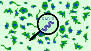 Identification of mutations that prevent the development of Alzheimer’s disease [upl. by Aiyekal]