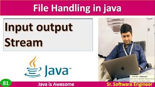 Input and Output Stream in java [upl. by Jamila627]