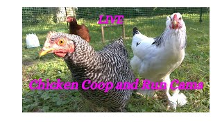 Chicken Coop Cam Live [upl. by Triplett]