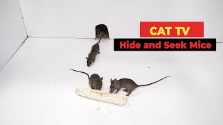 Cat TV 🐀 Mice for Cats to Watch with Sound [upl. by Maxama621]