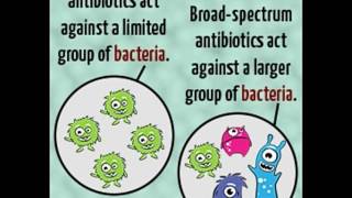 Narrow spectrum Vs Broad spectrum Antibiotics [upl. by Enitsahc]