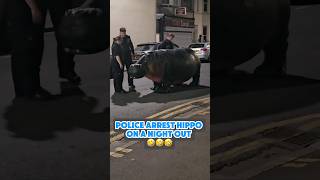 Hippo arrested on a night out ukpolice crime police hippopotamus hippo uk [upl. by Ecnerrot]