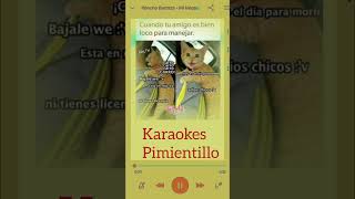 MI NECESIDAD KARAOKE PANCHO BARRAZA [upl. by Nnayllas]