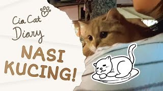 Nasi Kucing Nasi Daging Kucing  Cia Cat Diary  Ep 30 [upl. by Frangos]