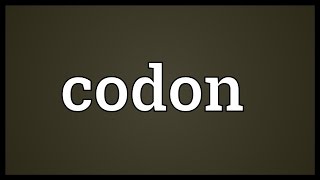 Codon Meaning [upl. by Nitnelav]