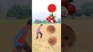 Rounding to coconut tarbhuj  litchi mango funny 🤣 vfx magic video shorts trendingshorts viral [upl. by Urban]