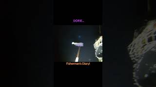 Dorie yt fishing ytviral nature ytshortsvideo ytshortsindia ytstudio youtubeshorts [upl. by Helsie433]