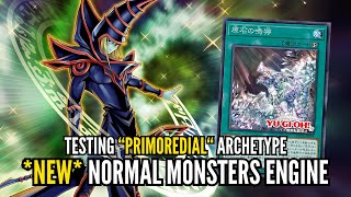 Best Dark Magician Deck EVER Primal Power Unleashed [upl. by Ruperta]