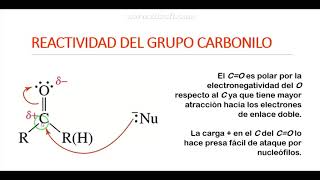 REACTIVIDAD DEL GRUPO CARBONILO EN RXS DE ADICION NUCLEOFILICA ACTIVIDAD 1 [upl. by Marcelia]