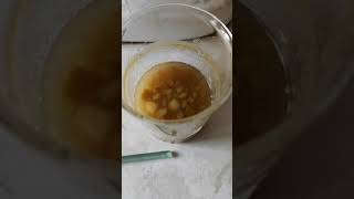 Test of pectin content of fruit extract by alcohol precipitation method nepali [upl. by Nhtanhoj614]