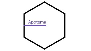 ¿Qué es el APOTEMA [upl. by Eidarb]