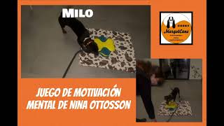 🎲Juego de motivación mental de Nina Ottoson [upl. by Hardan]