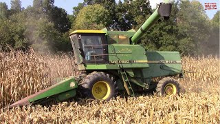 JOHN DEERE 6620 TURBO Combine Harvesting Corn [upl. by Mezoff537]