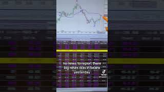 11824 grain market morning minute farming trading graintrading grain grainmarket [upl. by Andrus319]