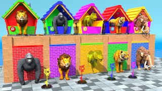 Guess The Right Key With Elephant Tiger TRex Lion Gorilla ESCAPE ROOM CHALLENGE Animals Cage Game [upl. by Whall]