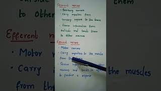 Afferent nerves Vs Efferent nervesAwes biology NEET CTET DSC KVS NVSHappy learning [upl. by Clancy]