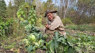 Food Self Sufficiency  Yesterday and Today  ROOT CELLAR  FOOD PRESERVATION  GARDEN HARVEST [upl. by Yknip]