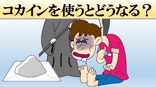 【科学】コカ〇ンを使うとどうなる？【薬物】 [upl. by Hpeseoj796]