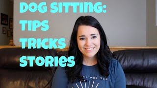 Dog Sitting Tips Tricks and Stories [upl. by Attiuqaj365]