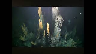 Hydrothermal vents theory about the origin of life [upl. by Burman769]