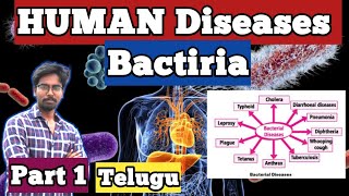 All Bacterial diseases for RRB SSC Other exams [upl. by Assilla909]