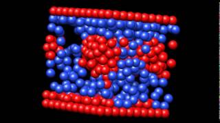 Structuring of hydrophobic and hydrophilic polymers at interfaces [upl. by Airdnua31]