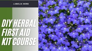 Lobelia Herb [upl. by Anjali]