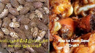 Sand Crab Cooking  HD  எலிப்பூச்சி சமையல்  இலிப்பூச்சி சமையல்  Sand Fleas Cooking [upl. by Enirehtacyram268]