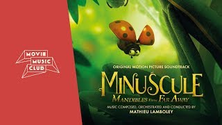 Mathieu Lamboley  Le nid  From the movie quotMinuscule Mandibles From Far Awayquot [upl. by Tsuda319]