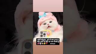 छोटी Hight trending hindisong catvideos youtubeshorts shortsviral lovestatus sad sadsahayri [upl. by Estele]