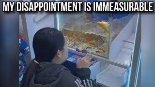 They Made a Goldfish Claw Machine [upl. by Rico867]