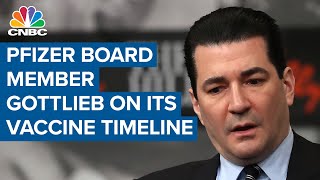 Pfizer board member Dr Scott Gottlieb on companys vaccine timeline [upl. by Spatz507]