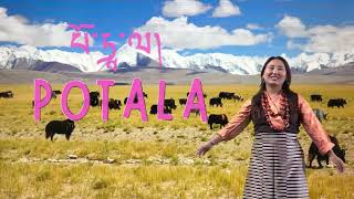 པོ་ཏཱ་ལ། POTALA Gorshey Video Coming Soon  New Gorshey  Tibetan song  Famous Gorshey  Tib song [upl. by Nolyat]