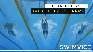 Adam Peatys  Breaststroke Arms  Swim Technique [upl. by Yaluz265]