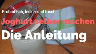 Joghurt selber machen Mit Joghurtbereiter probiotischen Joghurtkulturen selber Joghurt herstellen [upl. by Maison]