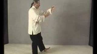 Part 14 Learn Tai Chi Free Yang Chengfu Long FOrm erle [upl. by Enymsaj]