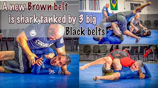 Brown belt shark tanked by 3 big black belts [upl. by Oravla996]