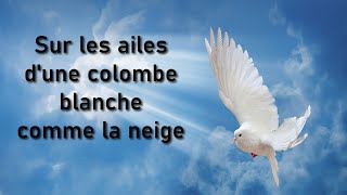 SUR LES AILES D’UNE COLOMBE BLANCHE COMME LA NEIGE William Branham [upl. by Abey]